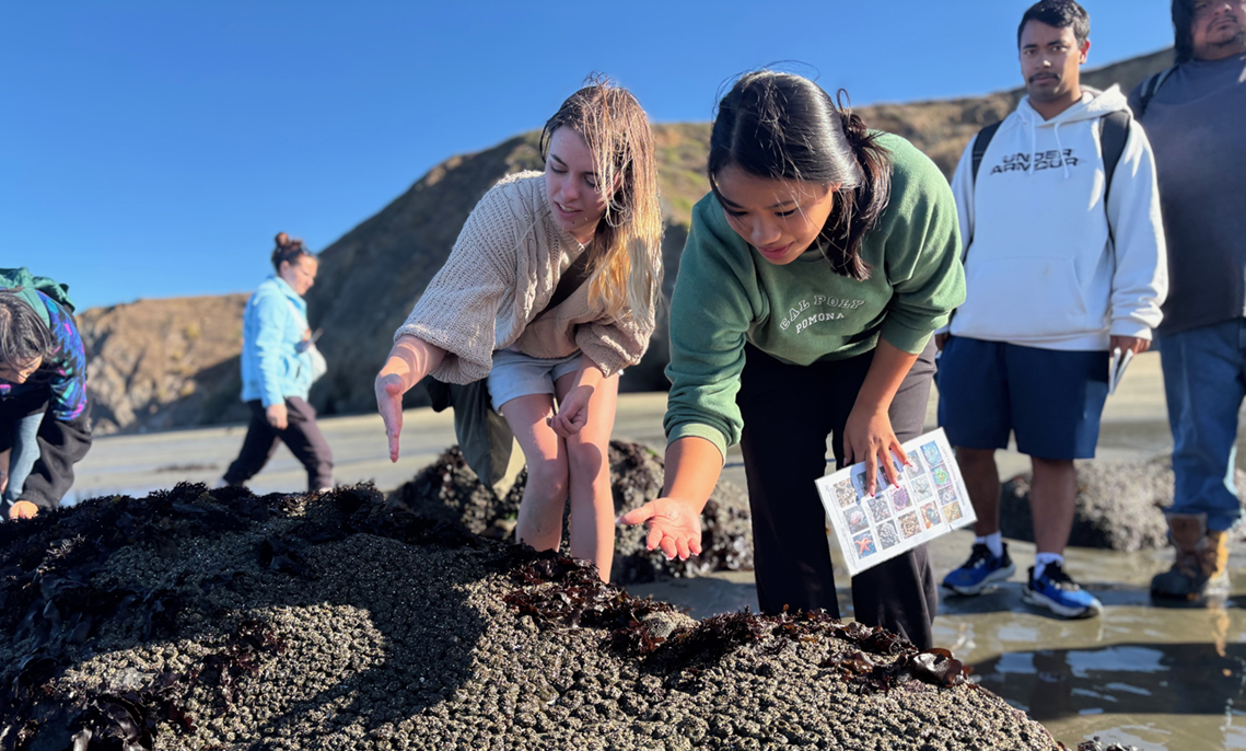 Students at beach 2026
